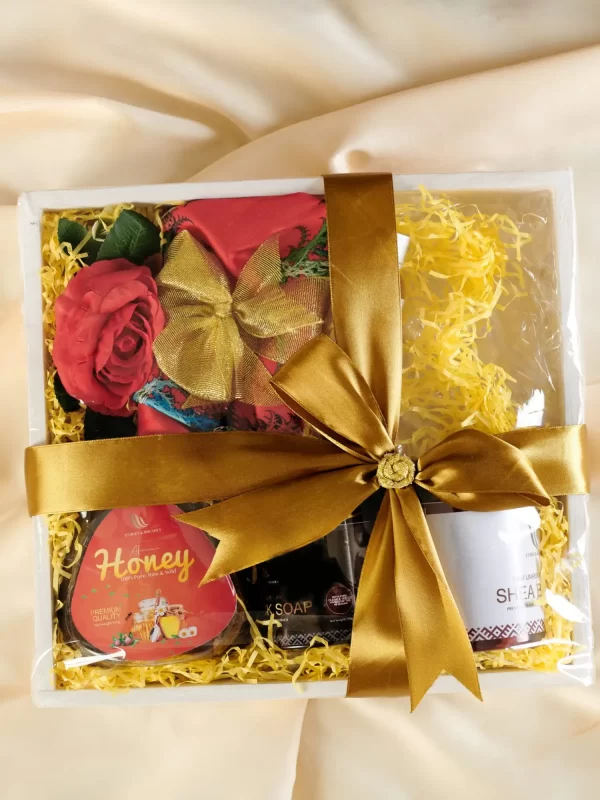 Curves and Brushes Purist Box